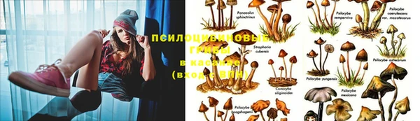 mix Зерноград