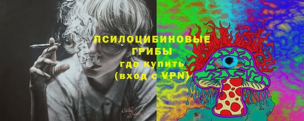 ПСИЛОЦИБИНОВЫЕ ГРИБЫ Зеленодольск