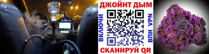 где купить наркоту  OMG ONION  Конопля сатива  Курильск 